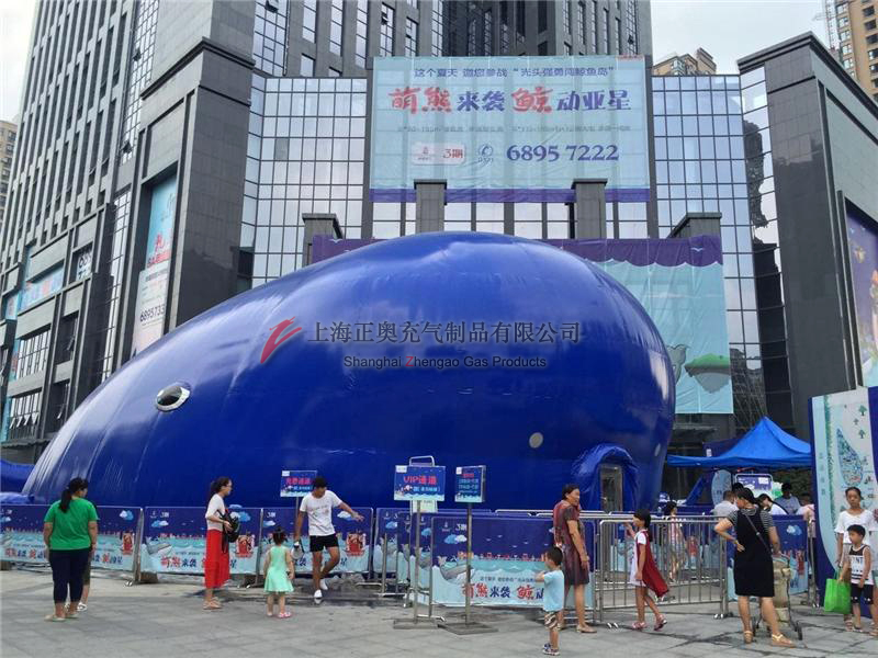 百萬(wàn)海洋球樂(lè)園